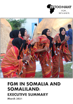 Somalia Country Profile Update: Executive Summary (2021, English)
